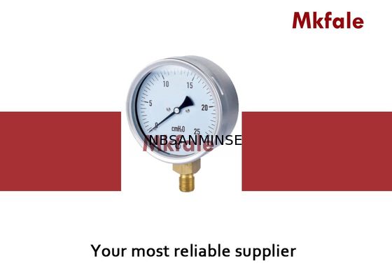 IP44 Kuningan Koneksi Liquid Diisi Air Pressure Gauge 63mm 75mm 100mm 160mm