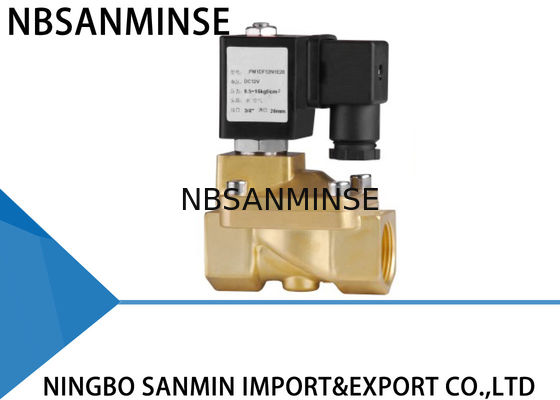 Kustom PM 2/2 Way Kuningan Solenoid Valve Menempel Solenoid Valve Untuk Gas