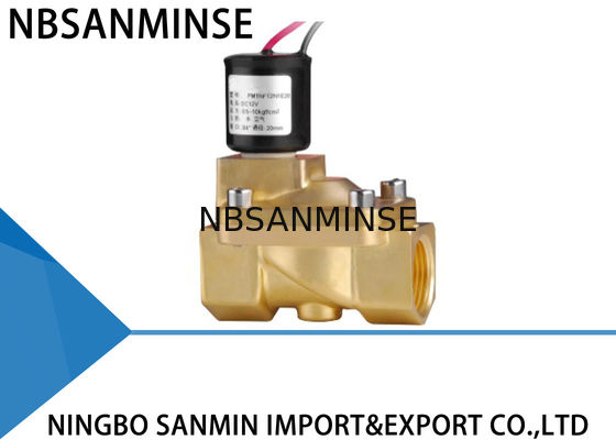 Kustom PM 2/2 Way Kuningan Solenoid Valve Menempel Solenoid Valve Untuk Gas