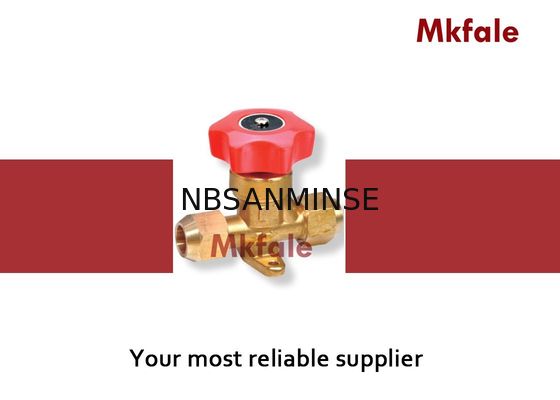 Manual Stop Listrik Solenoid Valve Air Teflon Kuningan Solenoid Valve Board Desain Khusus