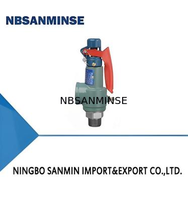 Tipe N besi cor katup spring safety 35bar kunci