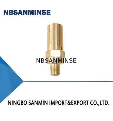 DA-08C/G V Katup Keselamatan Kriogenik Tembaga 35bar